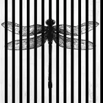 AKUSTIČNI PANELI FN ACUSTICO DIGI 