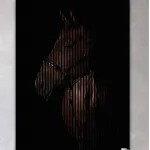 AKUSTIČNI PANELI FN ACUSTICO DIGI ANIMAL 