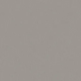 IVERICA OPLEMENJENA K523 PE PLATINIUM DISK 18/2800/2070mm 