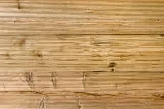 POD ZA TERASU ARIŠ SIBIRSKI C 25/144