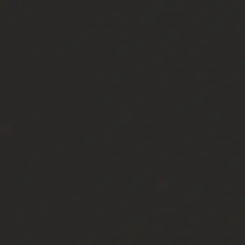 IVERICA OPLEMENJENA K166 BS BASALT 18/2800/2070mm 