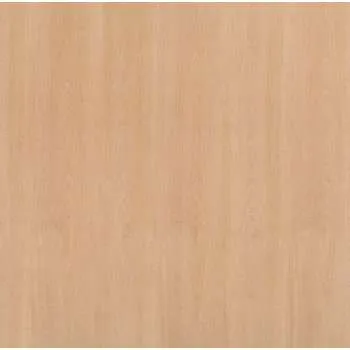 PANEL PLOČA FURNIRANA BUKVA 19mm 2500/1250 