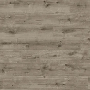 LAMINAT  8mm/Kl.32 HARO DAILY EDITION 541 345x HRAST CALLA GREY p=1,98 m2 