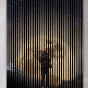 AKUSTIČNI PANELI FN ACUSTICO DIGI NATUR 