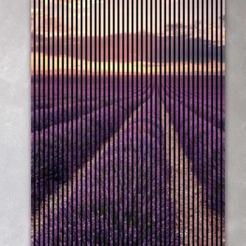 AKUSTIČNI PANELI FN ACUSTICO DIGI NATUR 