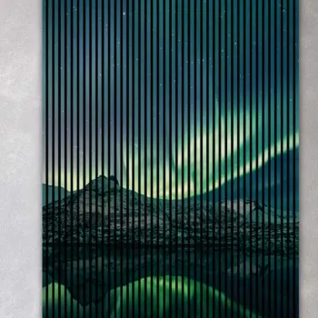 AKUSTIČNI PANELI FN ACUSTICO DIGI NATUR 