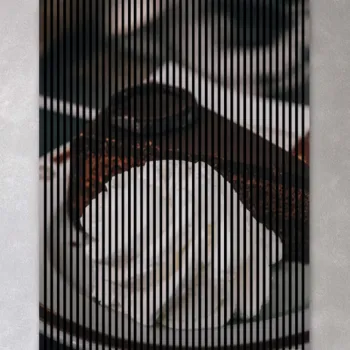 AKUSTIČNI PANELI FN ACUSTICO DIGI FOOD & DRINK 