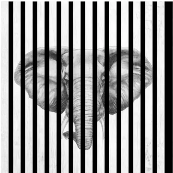 AKUSTIČNI PANELI FN ACUSTICO DIGI ANIMAL 