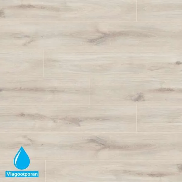 LAMINAT  8mm/Kl.33 BINYL PRO 1532  HRAST ATLANTIC p=2,2204 m2 