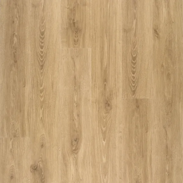 LAMINAT  8mm/Kl.32 DISFLOOR TOP 33829x AUTHENTICO NATURAL HRAST, RASPOLOŽIVO 8,712 m2 