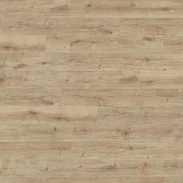 LAMINAT  7mm/Kl.31 HARO DAILY EDITION 541 340 HRAST CALLA PURO p=2,22 m2 