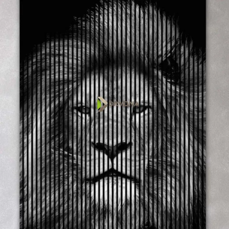 AKUSTIČNI PANELI FN ACUSTIVO DIGI 