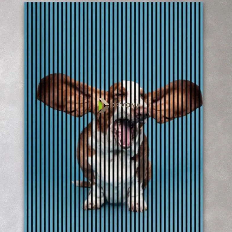 AKUSTIČNI PANELI FN ACUSTICO DIGI ANIMAL 