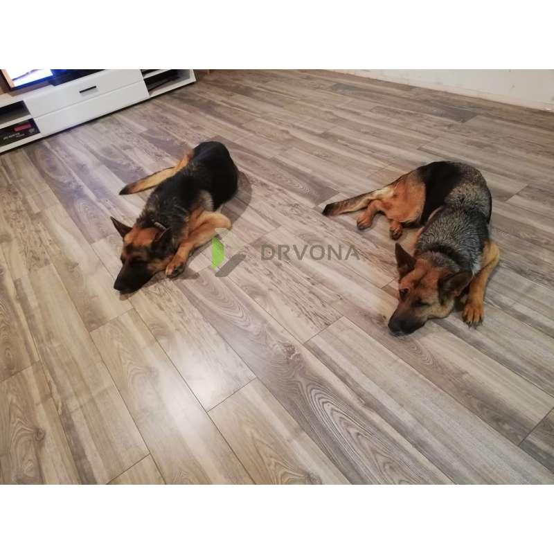 LAMINAT 8mm/Kl.32 VARIOSTEP CLASSIC V FUGA 8267x PINIA p=2,2204 m2