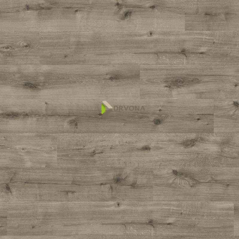 LAMINAT 8mm/Kl.32 HARO DAILY EDITION 541 345 HRAST CALLA GREY p=1,98