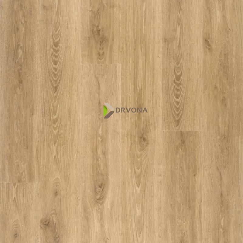 LAMINAT 8mm/Kl.32 DISFLOOR TOP 33829x AUTHENTICO NATURAL HRAST, RASPOLOŽIVO 8,712 m2