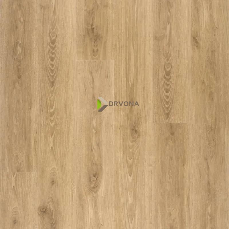 LAMINAT  8mm/Kl.32 DISFLOOR TOP 33829x AUTHENTICO NATURAL HRAST, RASPOLOŽIVO 8,712 m2 